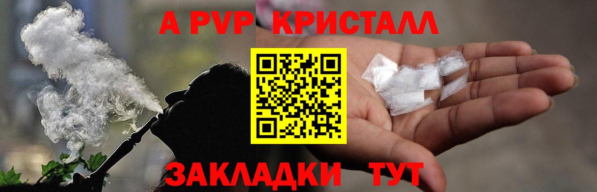 A PVP СК КРИС Курганинск