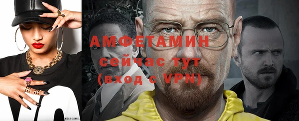 прущие грибы Белая Холуница