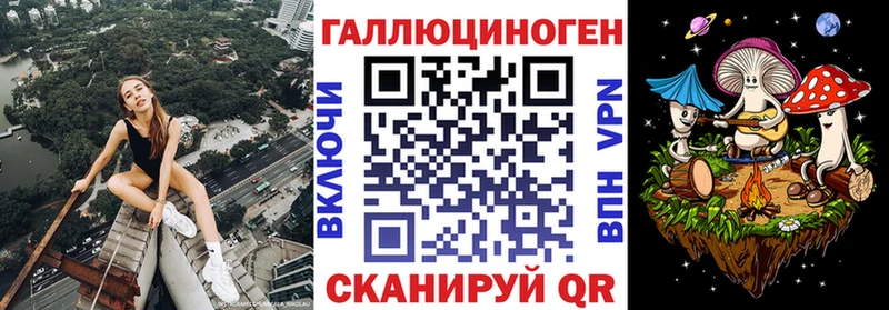 Галлюциногенные грибы GOLDEN TEACHER  сайты даркнета какой сайт  Курганинск 