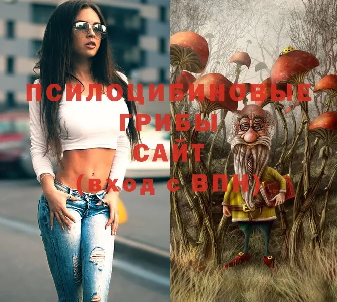 Псилоцибиновые грибы Magic Shrooms  как найти закладки  Курганинск 