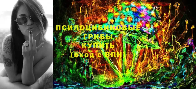 Псилоцибиновые грибы Magic Shrooms Курганинск