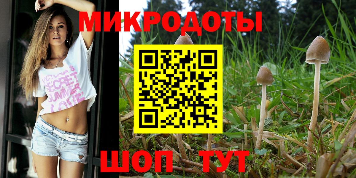 Галлюциногенные грибы Cubensis Курганинск