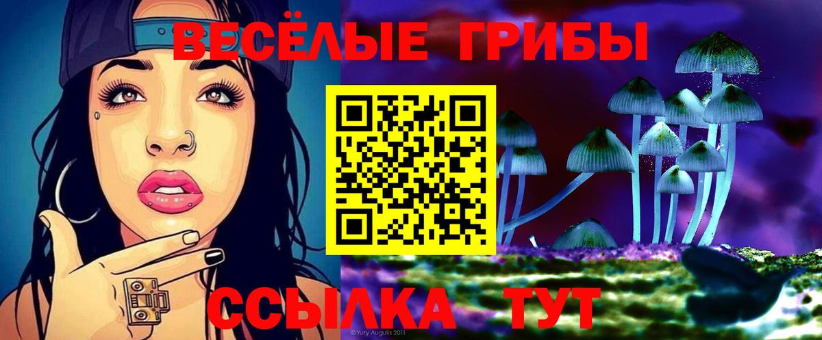 Курганинск  Галлюциногенные грибы GOLDEN TEACHER  где купить наркоту  Вход с VPN 